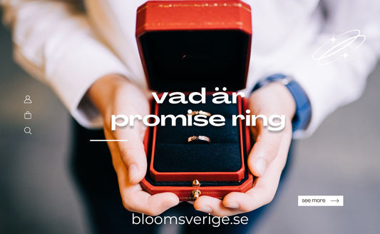 vad är promise ring